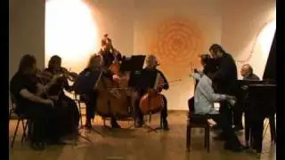 Haydn.Concerto in D. part 1. Yuval Aharoni.