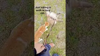 dont mind me...just itchy at this part here...