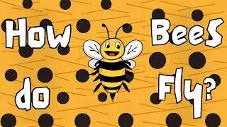 How Do Bees Fly