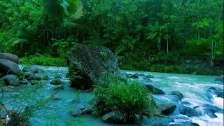 Deep Relaxation with Peaceful River Sounds  Calming Water Flow.
