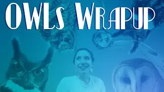 OWLs Wrapup