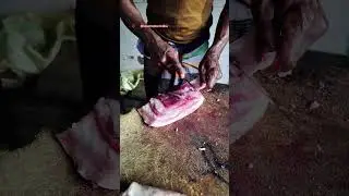 Meat Cutting Skills 😲 #meat #meatindustry #muttoncuttingskills #fishcutting #meatcuts