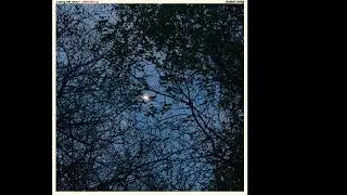 walking with witches - Oh, the Princess