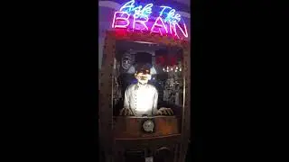 Ask The Brain Funfair Attraction