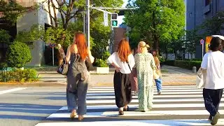 Tokyo Walk - Tennoz Isle to Shinbaba: Art-Filled Streets - Sep. 2024