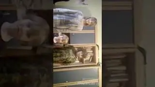 Наше очень смешное видео| our very funny video
