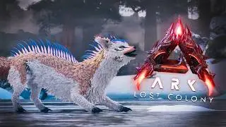 Вейлвин (Veilwyn) - всё что нужно знать о лисичке-компаньоне-саппорте в ARK: Survival Ascended