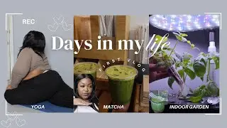 SAHM Diaries | Candle making, indoor gardening, matcha shop, yoga and vision board.