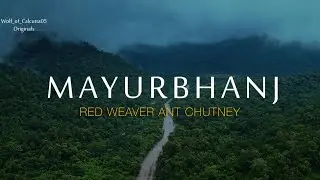Red weaver ant chutney | making of authentic tribal food | Mayurbhanj | Odisha | full documentary