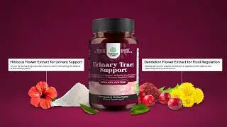 Nature's Craft, Urinary Tract Support, 90 Capsules