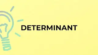 What is the meaning of the word DETERMINANT?