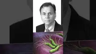 Barry Marshall and Robin Warren Unveiling the Hidden Culprit - A Revolutionary Invention in Medicine