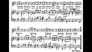 Seufzer, Tr&auml;nen, Kummer, Not (BWV 21 - J.S. Bach) Score Animation