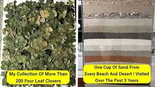The Most Interesting And Unusual Collections People Have