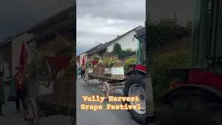 Vully harvest grape festival.  #VullySwitzerlandwinefestival #grapepickingin Switzerland