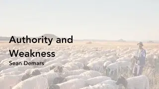 Authority and Weakness - Sean Demars