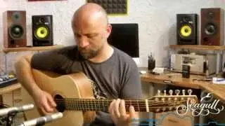 Andrea Mele & Seagull Walnut 12 