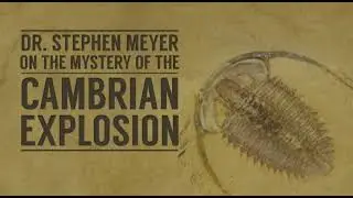 Why Intelligent Design Describes the Cambrian Explosion