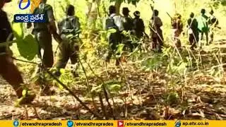 Encounter at Andhra-Odisha Border | Women Maoist Killed