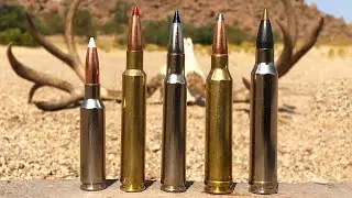 Best Cartridges for Big Game Animals: Who Claims the #1 Spot?