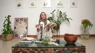 Una normalidad que arrastra al abismo- Segunda parte.