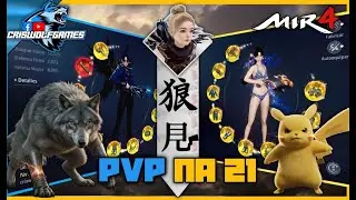 Mir4 - I moved to NA21 looking for PvP and this is what happened