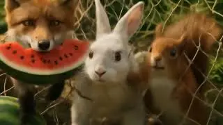 Fox Finds Watermelon Treasure&hellip; 😱 😱 But It&rsquo;s a Trap! #animals #trap #shorts