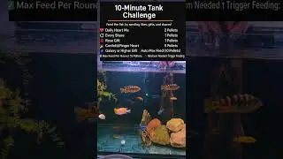 Feast or Famine Fish Game 🎮 | TikTok Live Feeding Challenge Highlights