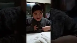 眼瞎的智者-2