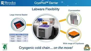 Labware Flexibility