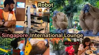 Singapore airport ನಲ್ಲಿ ನಂಗೆ ಎಷ್ಟ್ ದುಡ್ಡು ಸಿಕ್ತು😅back to home🏠international lounge | inside airport