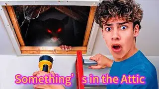 We Heard SCARY Noises in Our Attic... Then THIS Happened! 😱