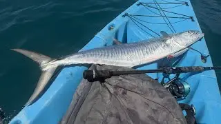 Kayak micro jig fishing, crazy giant mackerel! Phuket