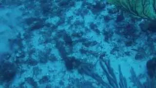 La grotta di Scilla