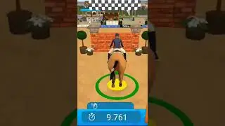 Name of game:horse world: show-jumping