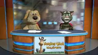 Tom ve köpek
