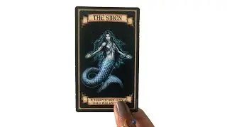 Which Types of People Are Most Attracted To You? || PICK A CARD