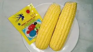 RESEP PUDING JAGUNG MANIS DAN ENAK TANPA BANYAK ORANG TAHU, WAJIB COBA