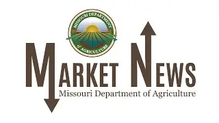 Daily Market Report Jan 26, 2026