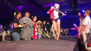 Harley Quinn - Aerial Silks Performance