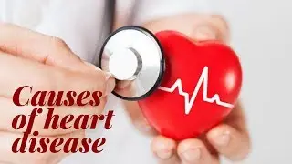 CAUSES OF HEART DISEASE