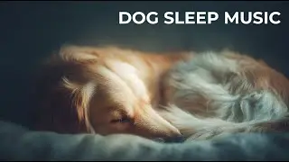 Anxiety Relief Music for Dogs | Calm & Safe Sounds for Home Alone