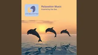 Whale Love Song