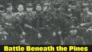 Battle Beneath the Pines | The Forest War in Belarus | Eastern Front WW2