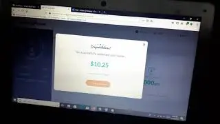 Survey Junkie Cash Out Live Withdrow to Bank Account usa Top survey site