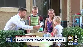 Pest control expert helps Mesa woman with scorpion infested apartment