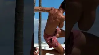 Here's why you need to start calisthenics 👀