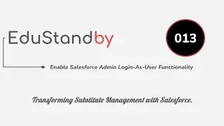 EduStandBy 013 | Enable Salesforce Admin Login-As-User Functionality