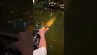 The Best Super Soaker Water Gun Ever!