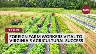 Foreign Farm Workers Vital to Virginia's Agricultural Success